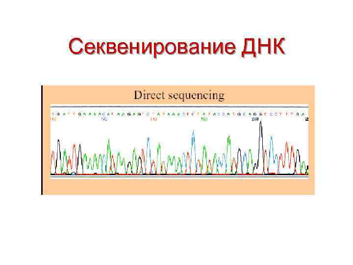 Секвенирование ДНК 
