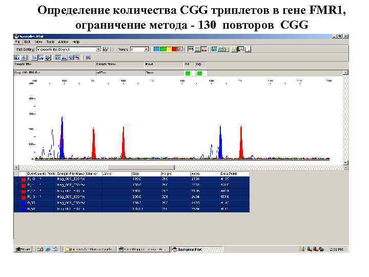 Определение количества CGG триплетов в гене FMR 1, ограничение метода - 130 повторов CGG