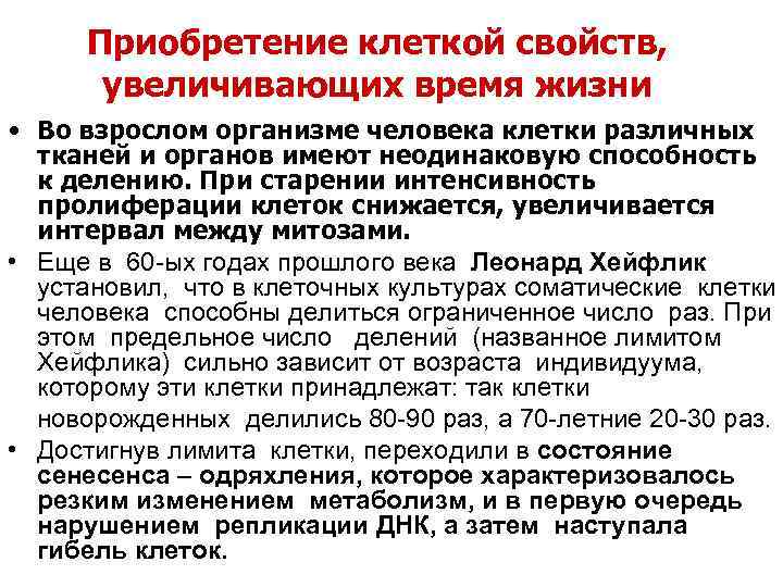 Приобретение клеткой свойств, увеличивающих время жизни • Во взрослом организме человека клетки различных тканей
