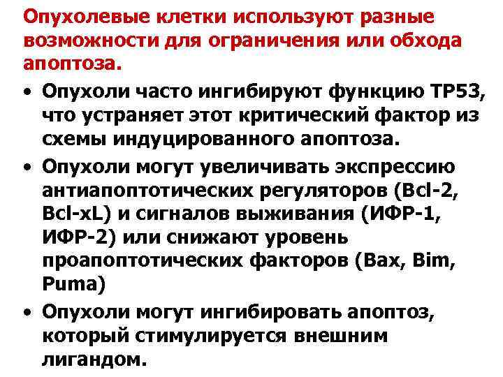 Опухолевые клетки используют разные возможности для ограничения или обхода апоптоза. • Опухоли часто ингибируют