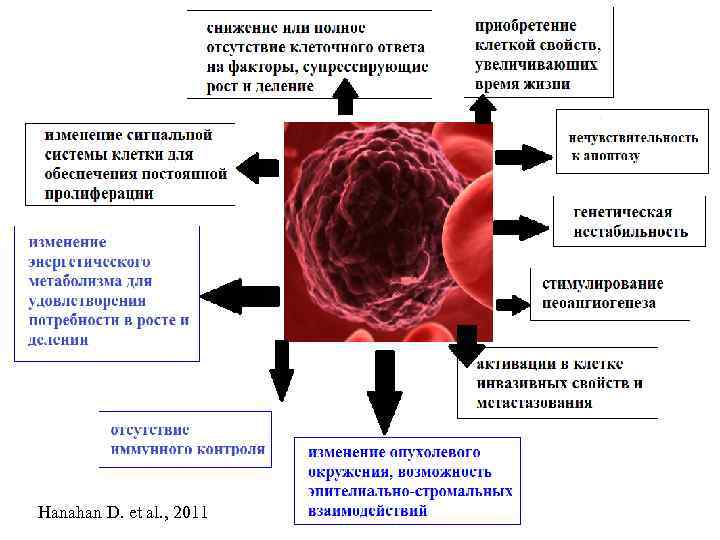 Hanahan D. et al. , 2011 