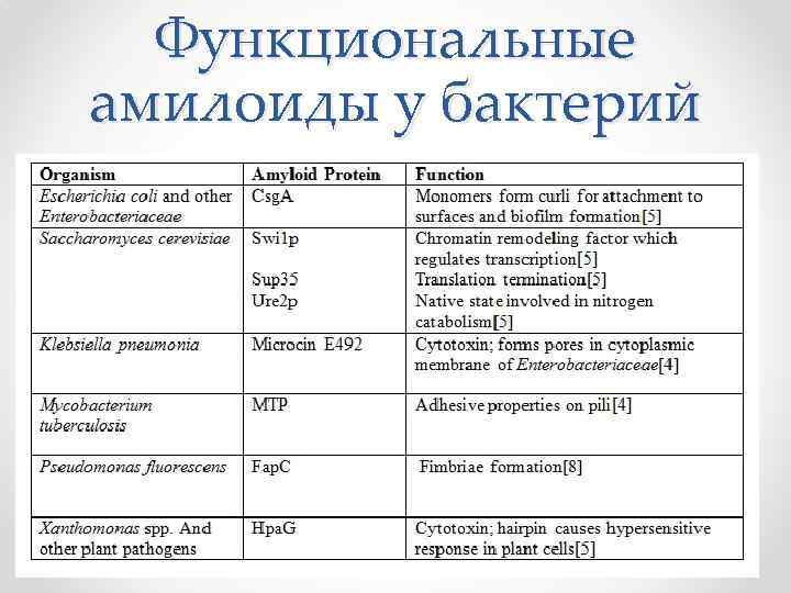 Функциональные амилоиды у бактерий 