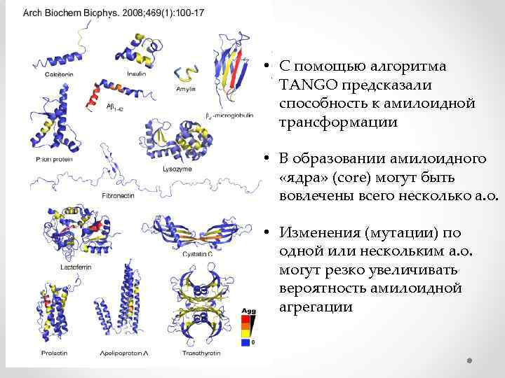  • С помощью алгоритма TANGO предсказали способность к амилоидной трансформации • В образовании