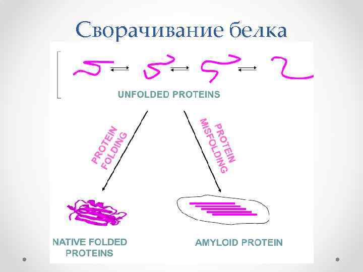 Сворачивание белка 