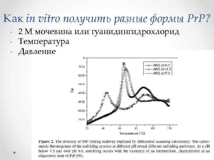 Как in vitro получить разные формы Pr. P? • • • 2 M мочевина