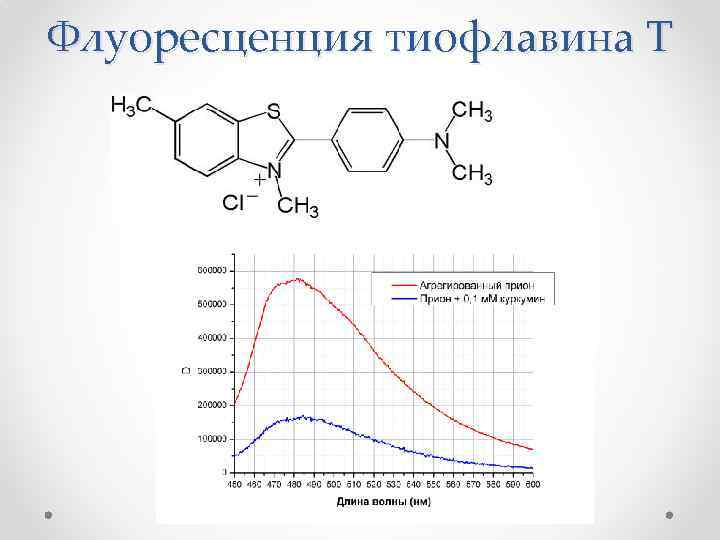 Флуоресценция тиофлавина Т 