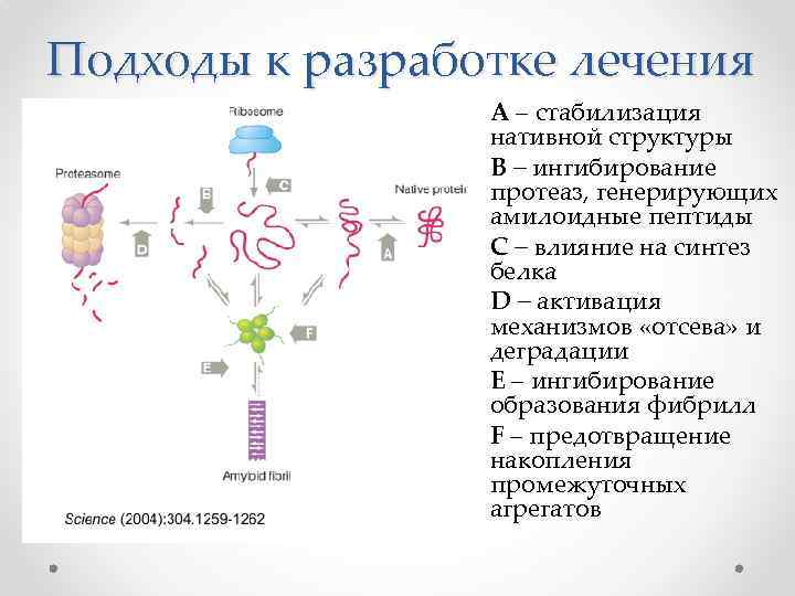 Подходы к разработке лечения А – стабилизация нативной структуры B – ингибирование протеаз, генерирующих