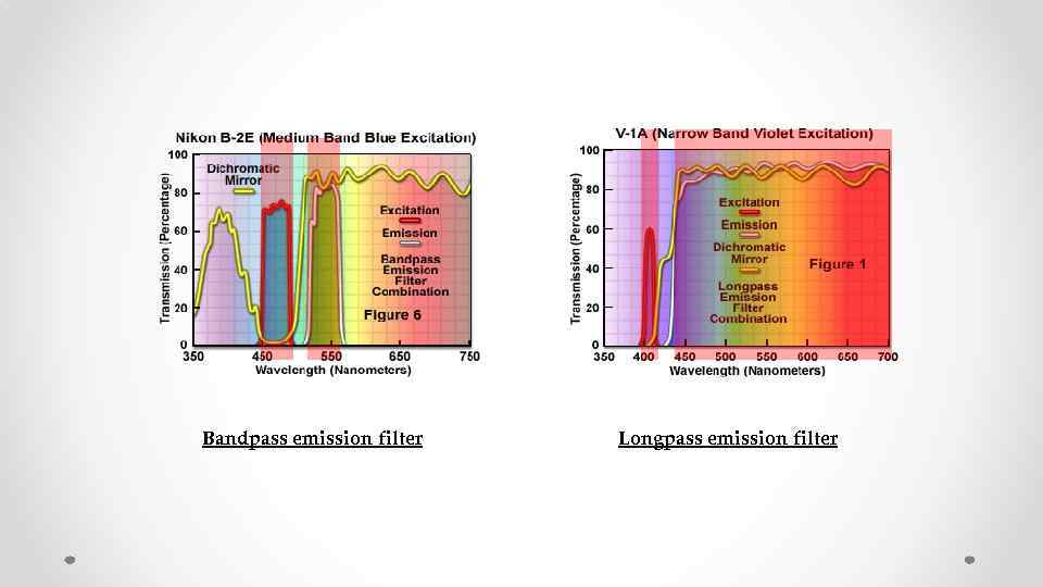 Bandpass emission filter Longpass emission filter 