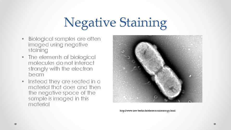 Negative Staining • Biological samples are often imaged using negative staining • The elements