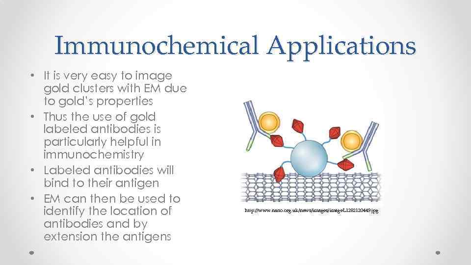 Immunochemical Applications • It is very easy to image gold clusters with EM due
