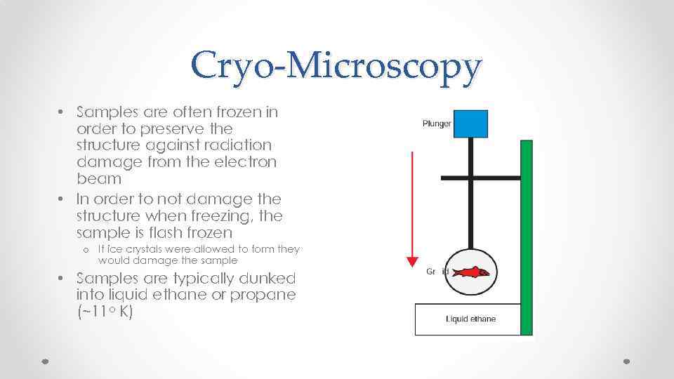 Cryo-Microscopy • Samples are often frozen in order to preserve the structure against radiation
