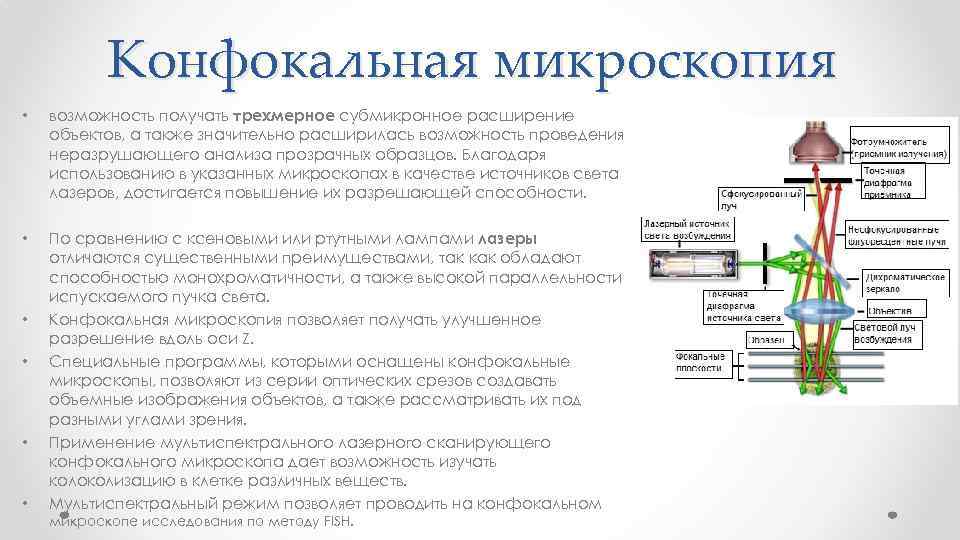 Конфокальная микроскопия • возможность получать трехмерное субмикронное расширение объектов, а также значительно расширилась возможность