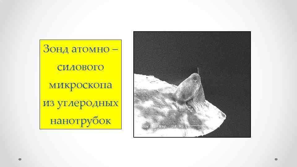 Зонд атомно – силового микроскопа из углеродных нанотрубок 