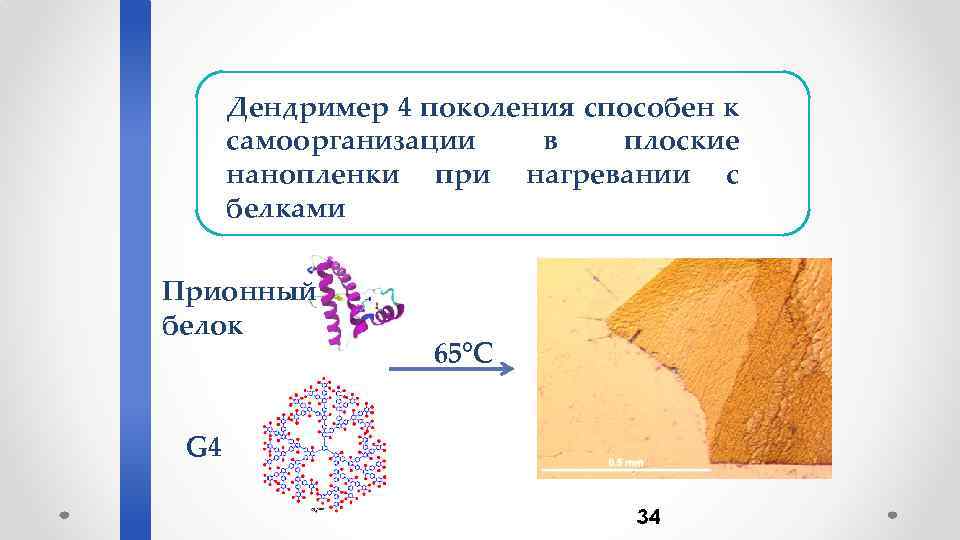 Дендример 4 поколения способен к самоорганизации в плоские нанопленки при нагревании с белками Прионный