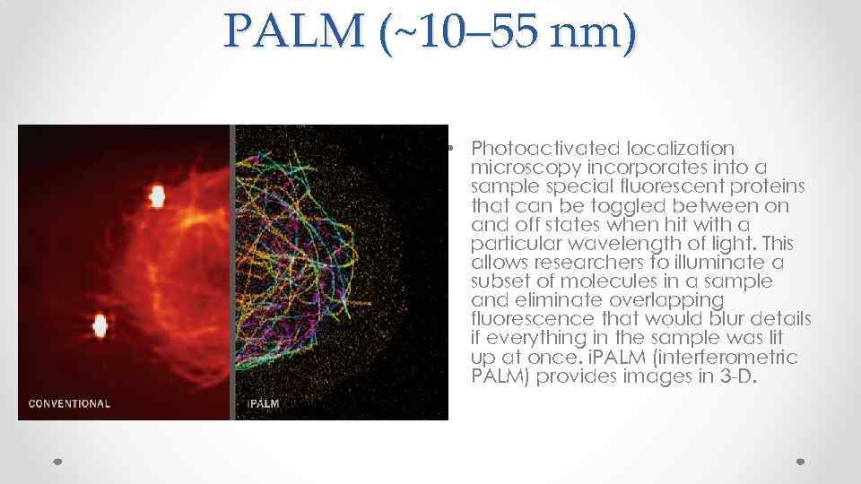 PALM (~10– 55 nm) • Photoactivated localization microscopy incorporates into a sample special fluorescent