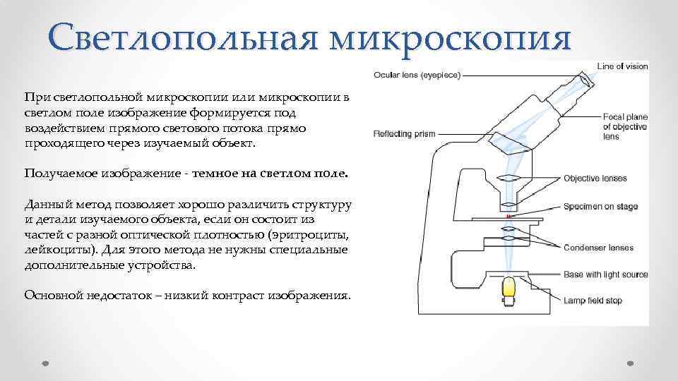 Микроскопия принцип метода