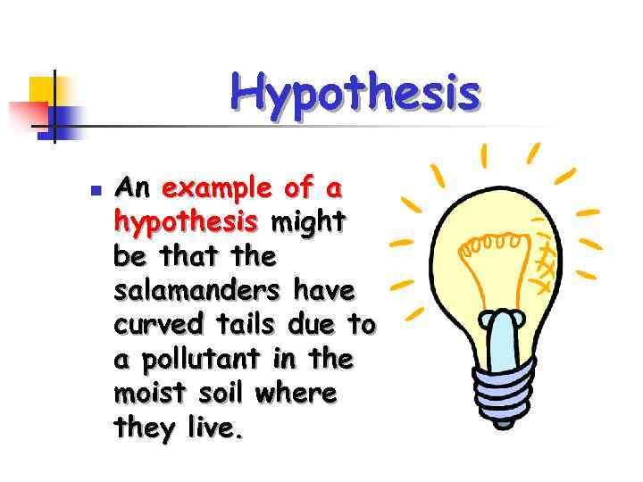 Hypothesis n An example of a hypothesis might be that the salamanders have curved