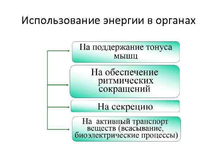 Использование энергии в органах 