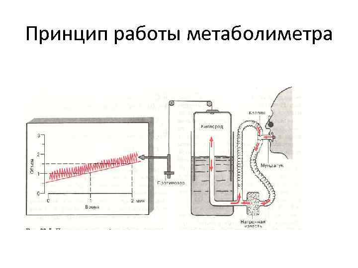 Принцип работы метаболиметра 