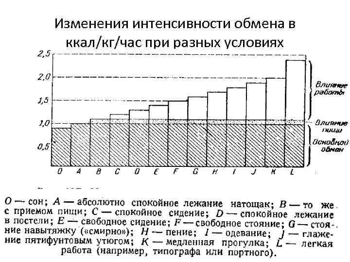 Изменения интенсивности обмена в ккал/кг/час при разных условиях 