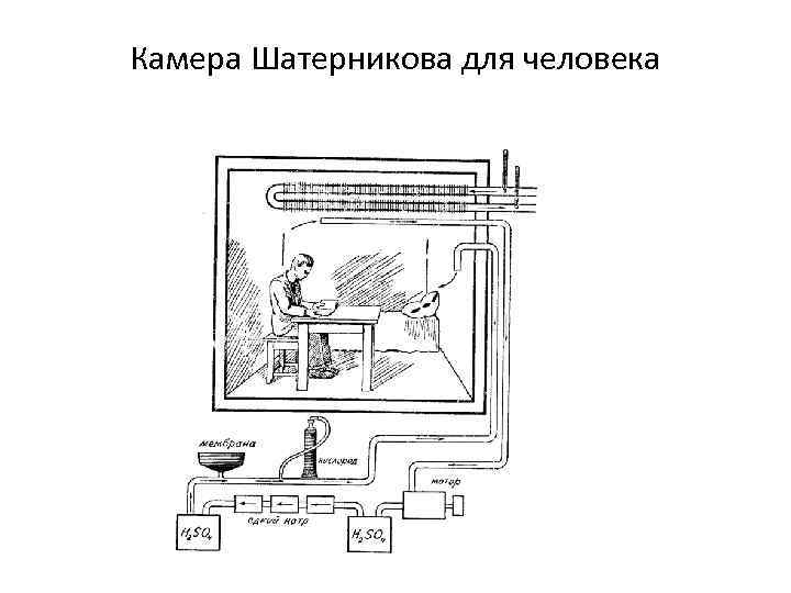 Камера Шатерникова для человека 
