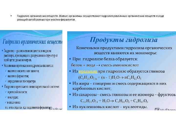  • Гидролиз органических веществ. Живые организмы осуществляют гидролиз различных органических веществ в ходе
