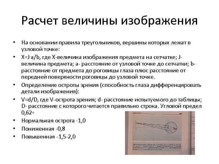 Расчет величины изображения • На основании правила треугольников, вершины которых лежат в узловой точке: