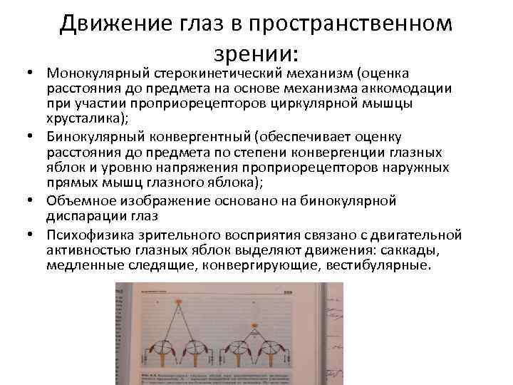 Движение глаз в пространственном зрении: • Монокулярный стерокинетический механизм (оценка расстояния до предмета на