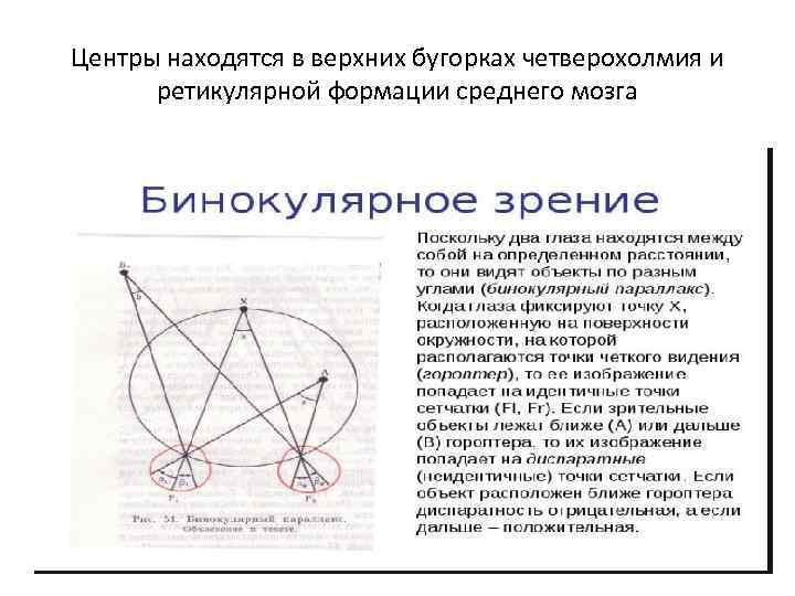 Центры находятся в верхних бугорках четверохолмия и ретикулярной формации среднего мозга 