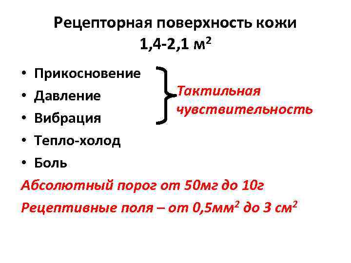 Рецепторная поверхность кожи 1, 4 -2, 1 м 2 • Прикосновение Тактильная • Давление