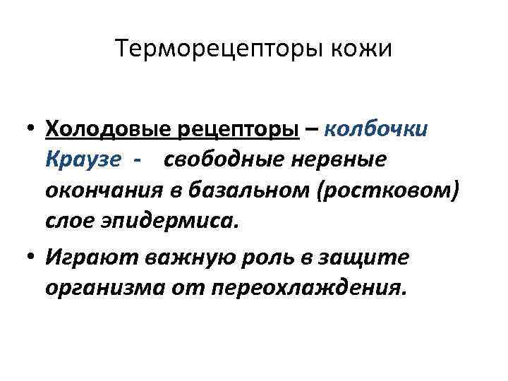 Терморецепторы кожи • Холодовые рецепторы – колбочки Краузе - свободные нервные окончания в базальном