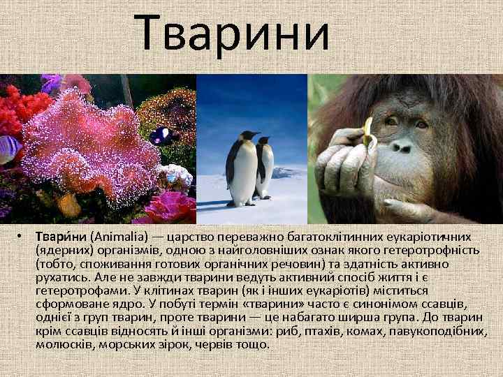 Тварини • Твари ни (Animalia) — царство переважно багатоклітинних еукаріотичних (ядерних) організмів, одною з