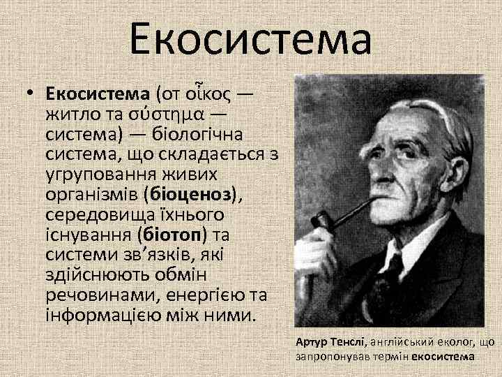 Екосистема • Екосистема (от οἶκος — житло та σύστημα — система) — біологічна система,