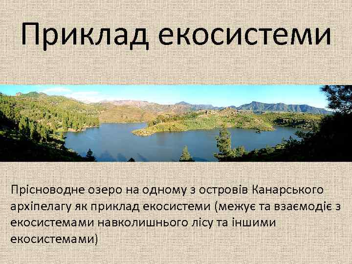 Приклад екосистеми Прісноводне озеро на одному з островів Канарського архіпелагу як приклад екосистеми (межує
