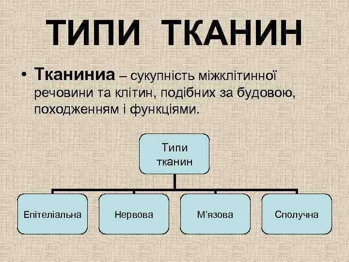 ТИПИ ТКАНИН • Тканиниа – сукупність міжклітинної речовини та клітин, подібних за будовою, походженням