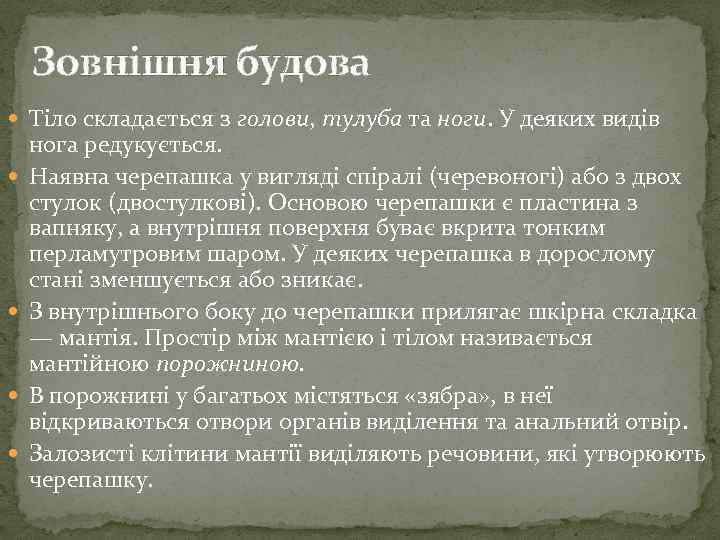 Зовнішня будова Тіло складається з голови, тулуба та ноги. У деяких видів нога редукується.