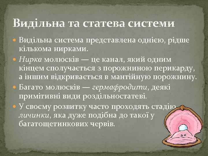 Видільна та статева системи Видільна система представлена однією, рідше кількома нирками. Нирка молюсків —