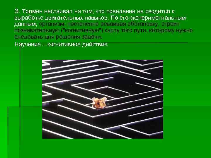 Э. Толмен настаивал на том, что поведение не сводится к выработке двигательных навыков. По