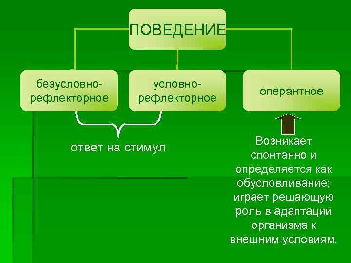 ПОВЕДЕНИЕ безусловнорефлекторное ответ на стимул оперантное Возникает спонтанно и определяется как обусловливание; играет решающую