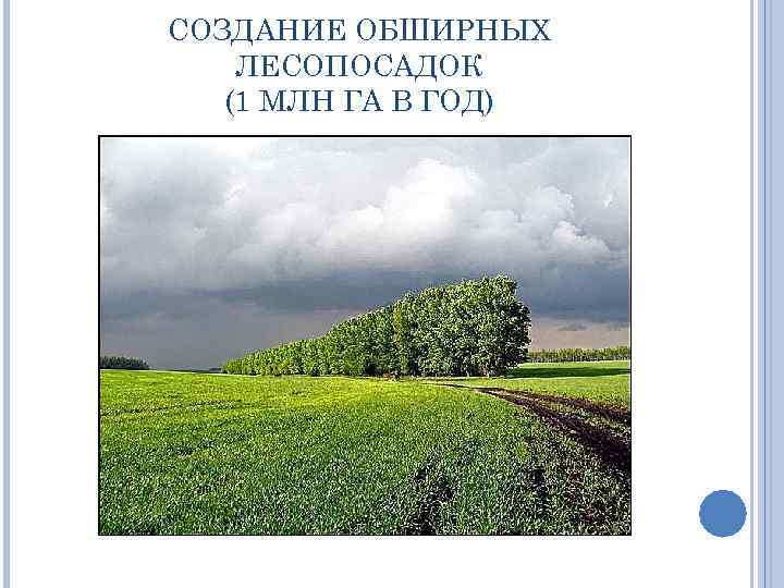 СОЗДАНИЕ ОБШИРНЫХ ЛЕСОПОСАДОК (1 МЛН ГА В ГОД) 