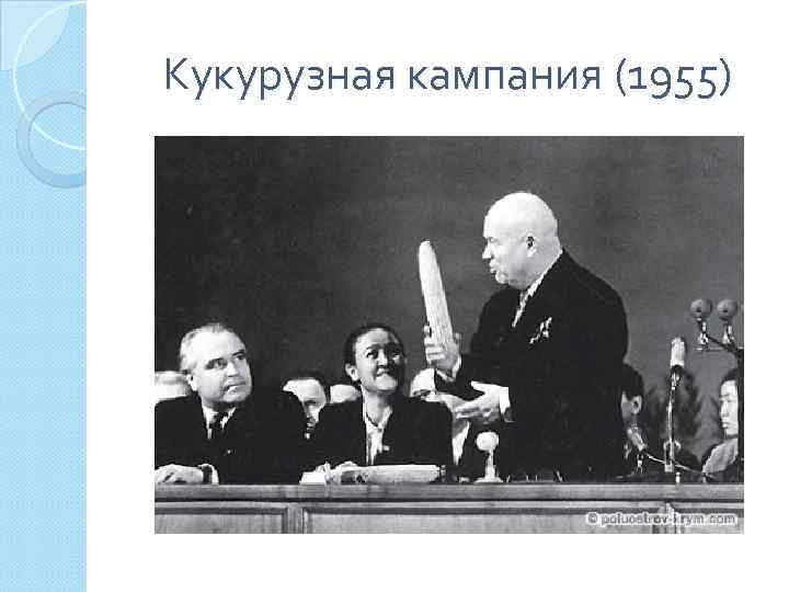 Кукурузная кампания (1955) 