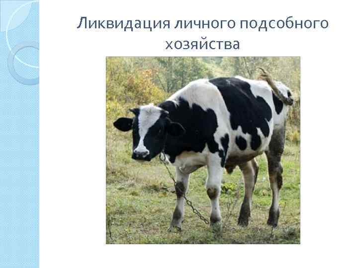 Ликвидация личного подсобного хозяйства 