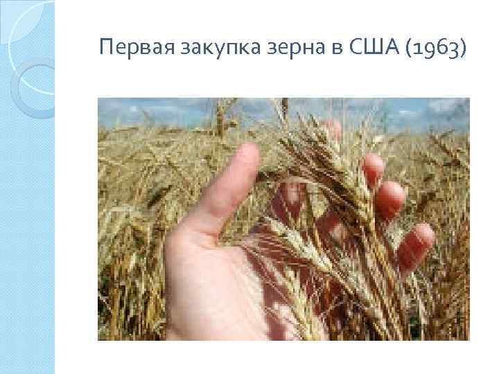 Первая закупка зерна в США (1963) 