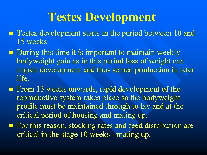 Testes Development n n Testes development starts in the period between 10 and 15