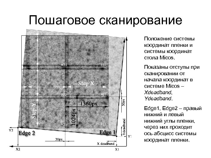 Пошаговое сканирование Положение системы координат пленки и системы координат стола Micos. Показаны отступы при