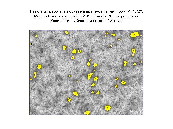 Результат работы алгоритма выделения пятен, порог K=12/20. Масштаб изображения 5. 065× 3. 81 мм