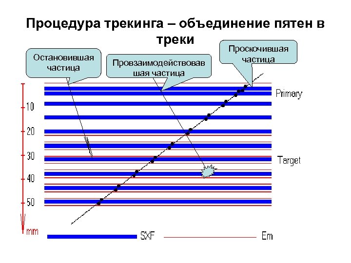 Процедура трекинга – объединение пятен в треки Остановившая частица Провзаимодействовав шая частица Проскочившая частица