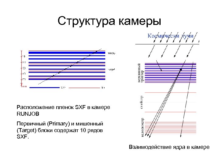 Структура камеры Расположение пленок SXF в камере RUNJOB Первичный (Primary) и мишенный (Target) блоки