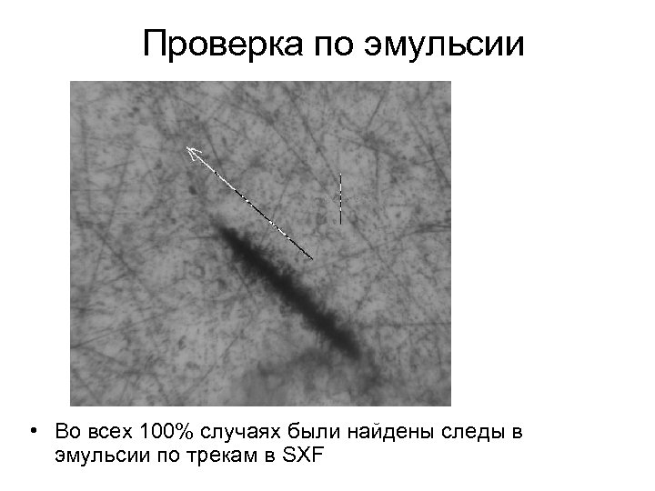 Проверка по эмульсии • Во всех 100% случаях были найдены следы в эмульсии по
