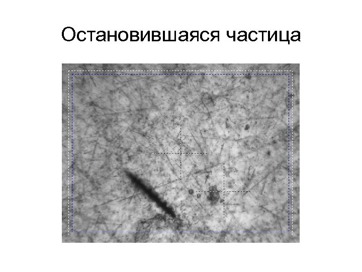 Остановившаяся частица 